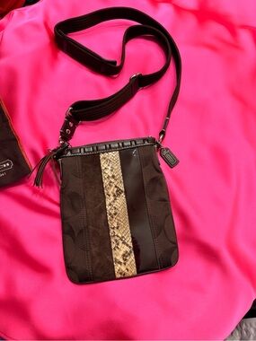 Y2K Coach Hamptons Signature Stripe Python Trimmed Crossbody Swingback Bag